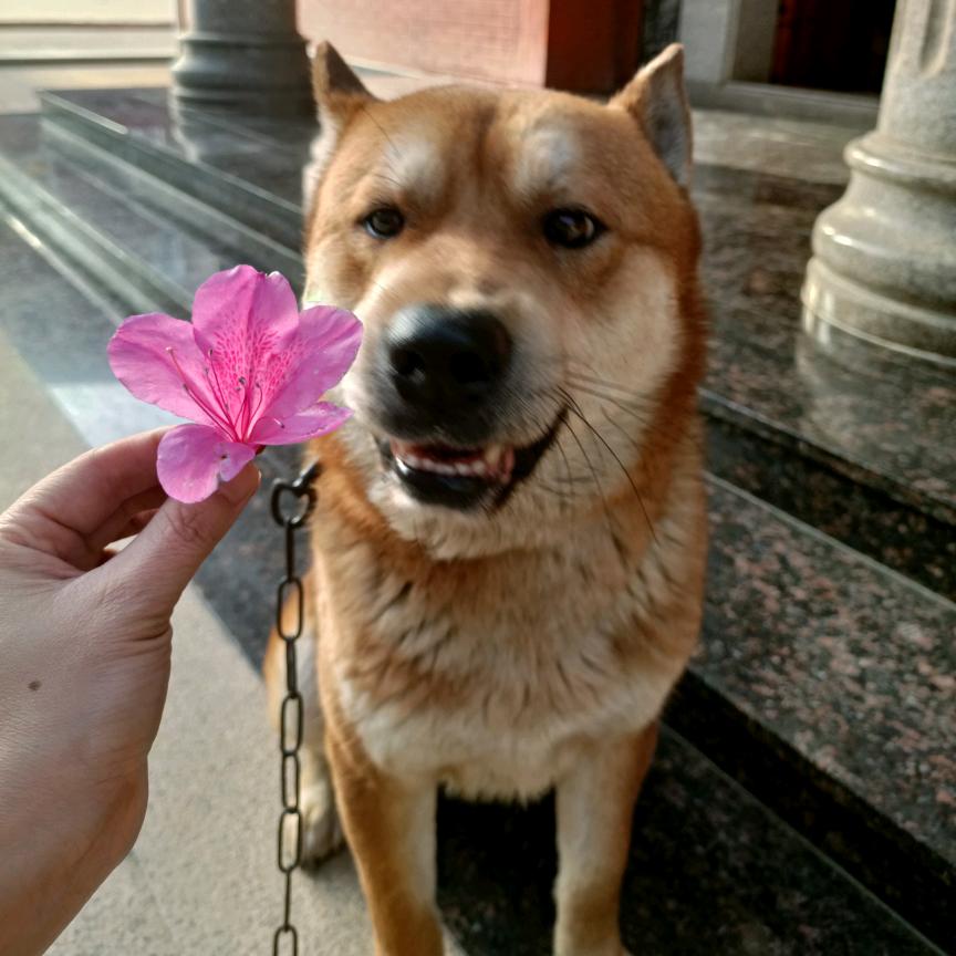 🌈炜宝🌈
