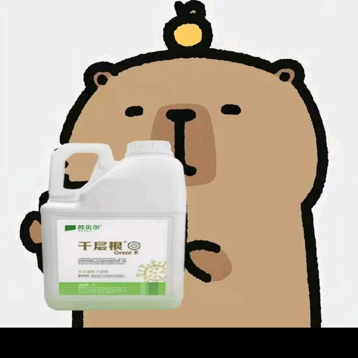 小敏勇闯农业圈