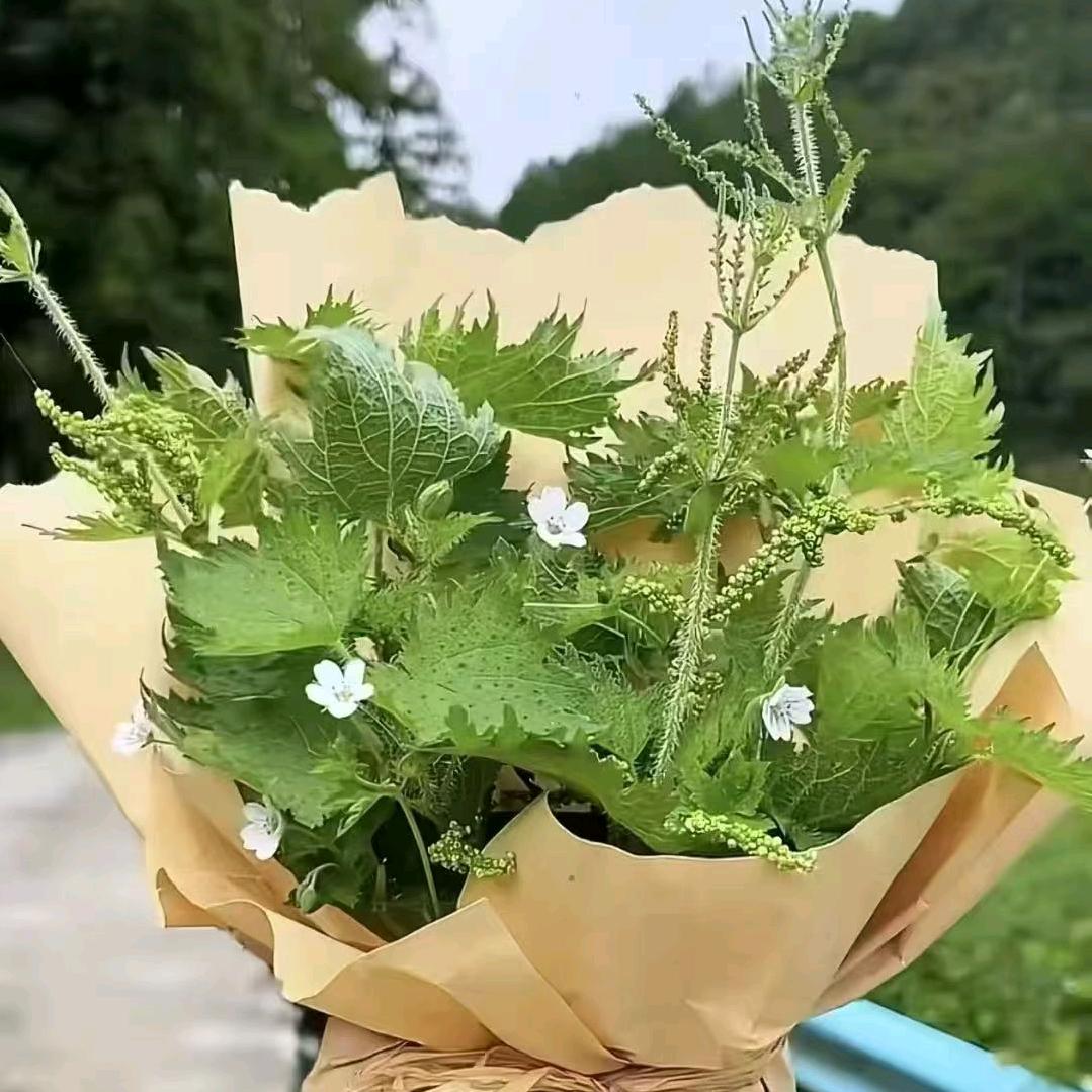 菲克游泳健身小钟