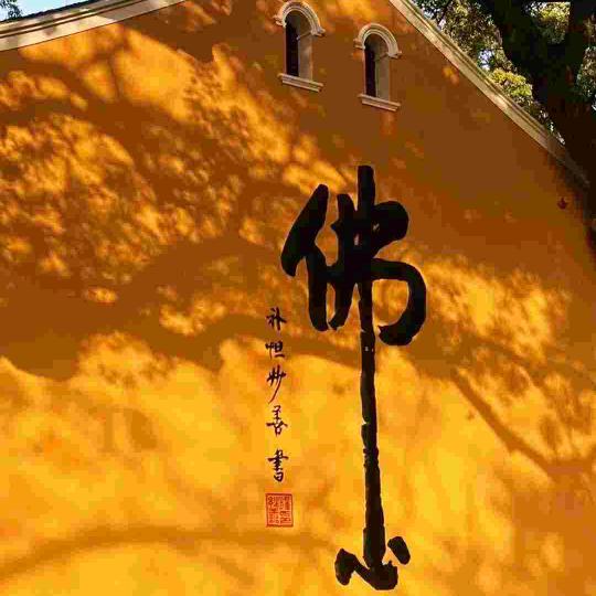 上善若水