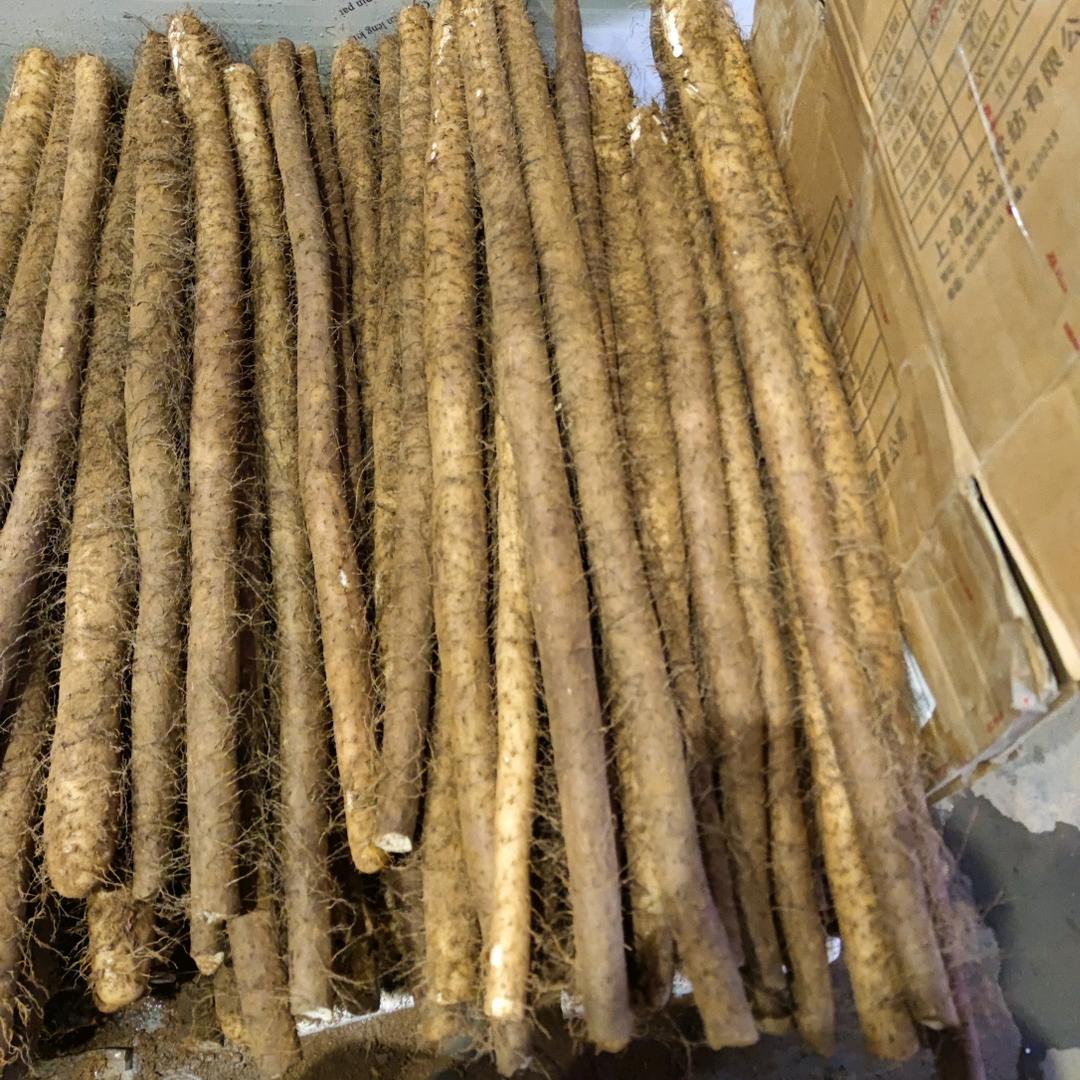 专业山药批发
