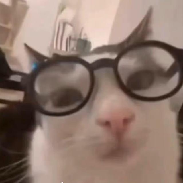 鸡排大王