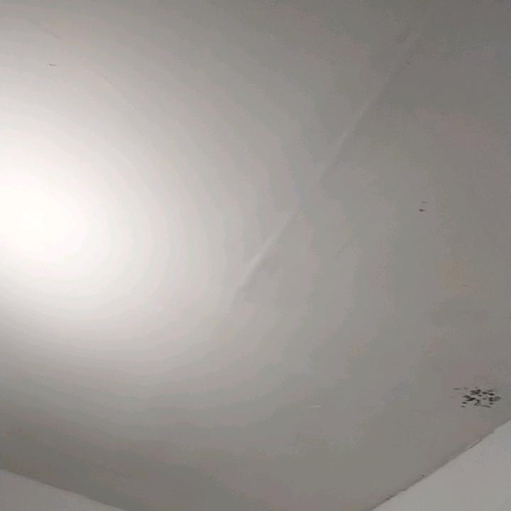 Lyl