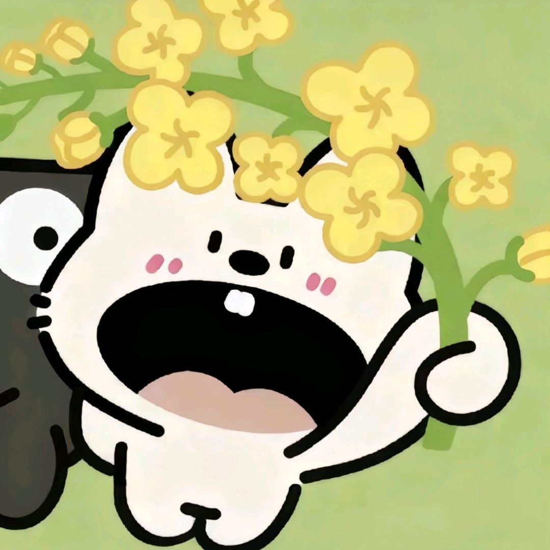 瑶瑶No.1