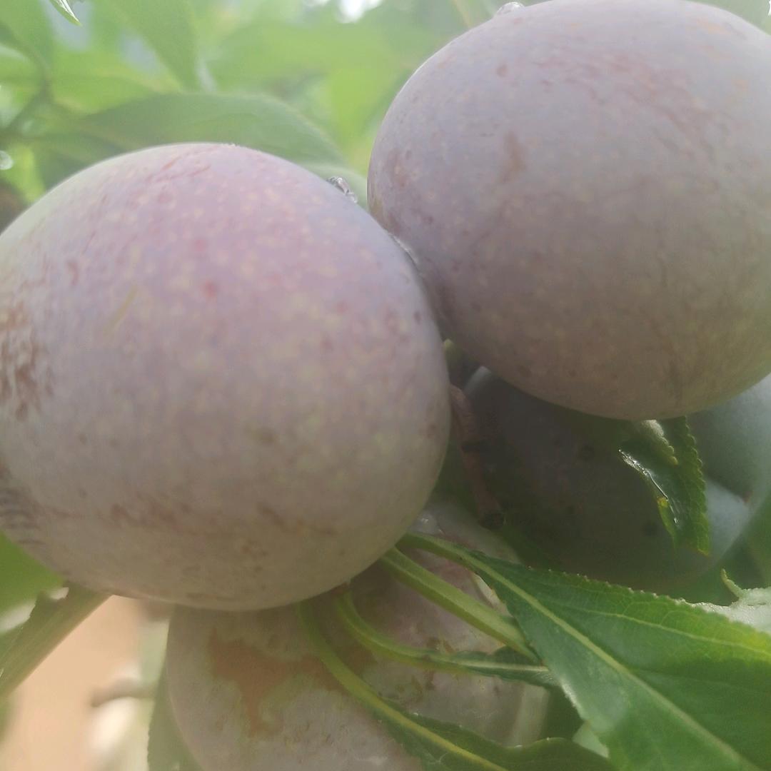 音响燃油炉餐具等服务