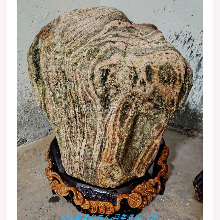金泰山故事汇头像