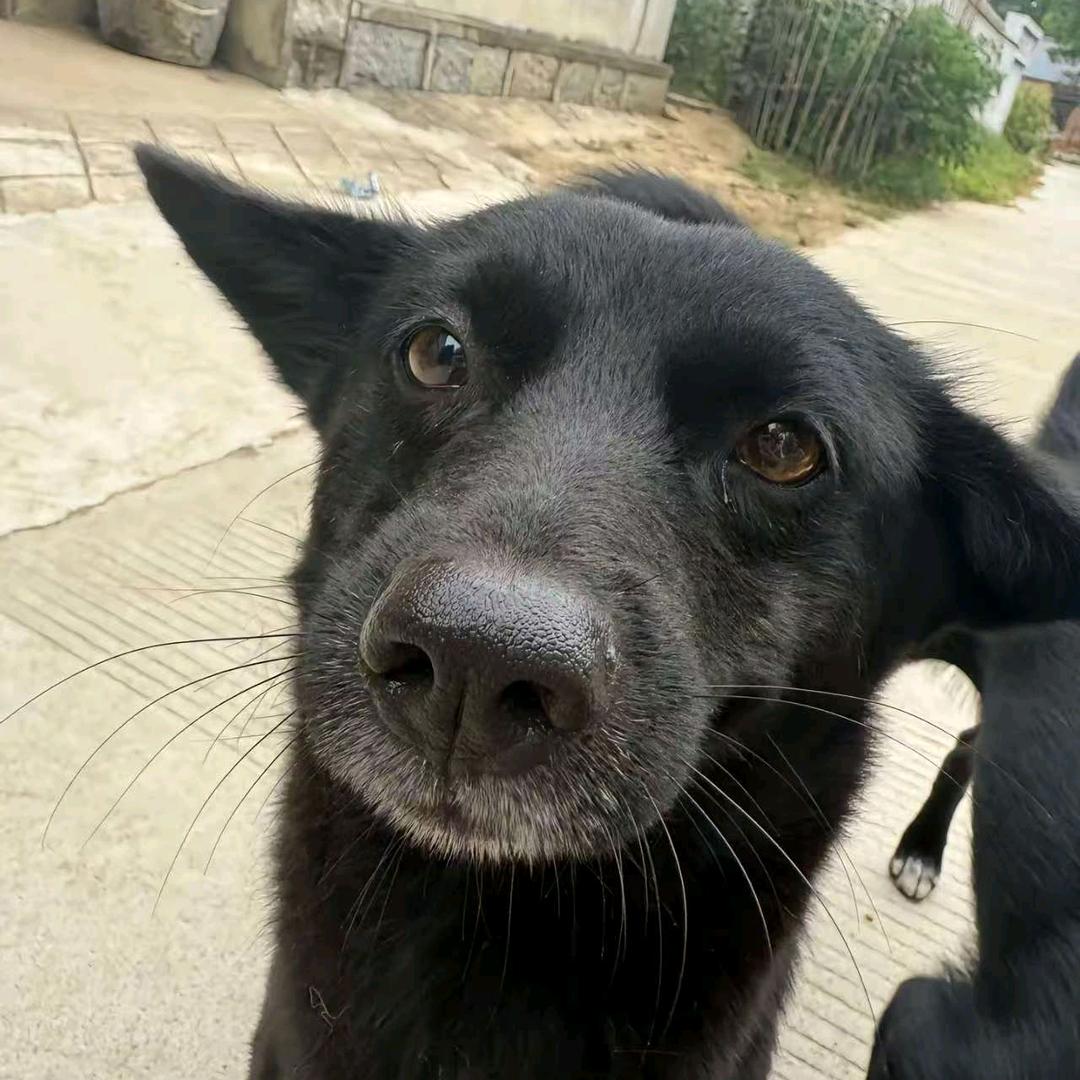 ⁎⁍̴̛͂▿⁍̴̛͂⁎