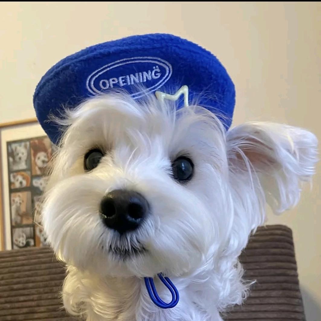 川谷SPA前台奇奇