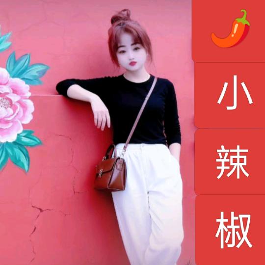 🌻小辣椒🌶