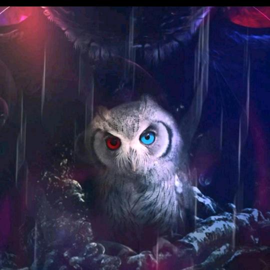 猫头鹰的围巾盘☁️🌊