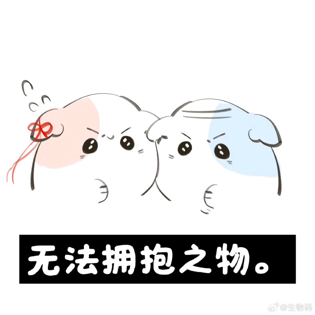 白噪音头像