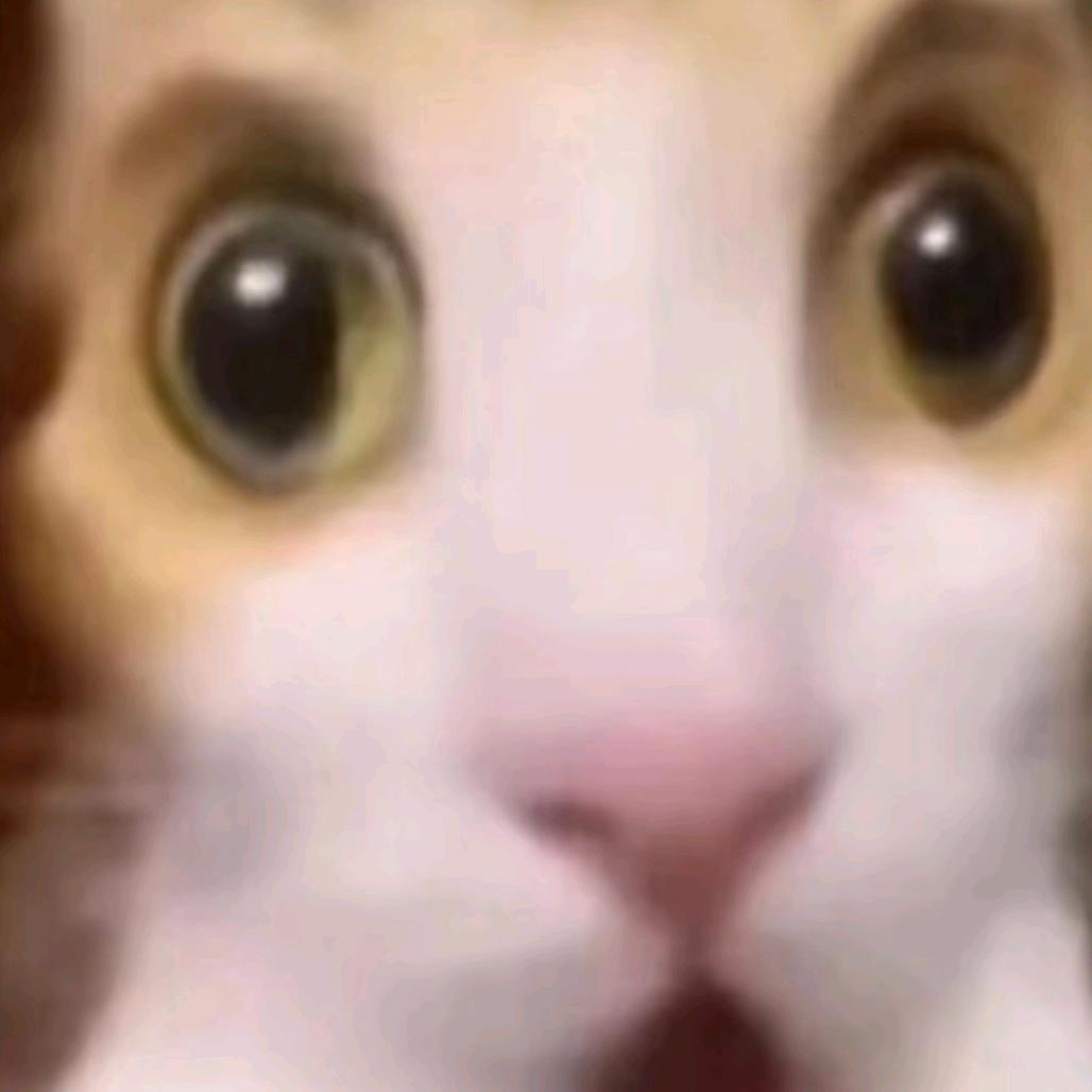 妖妖~