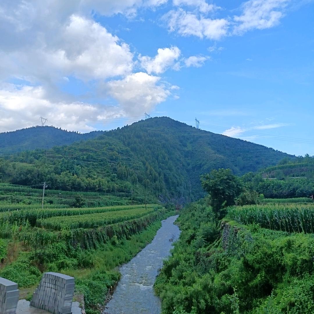 旺旺大李包，李旺我也旺（优选，买菜共配仓