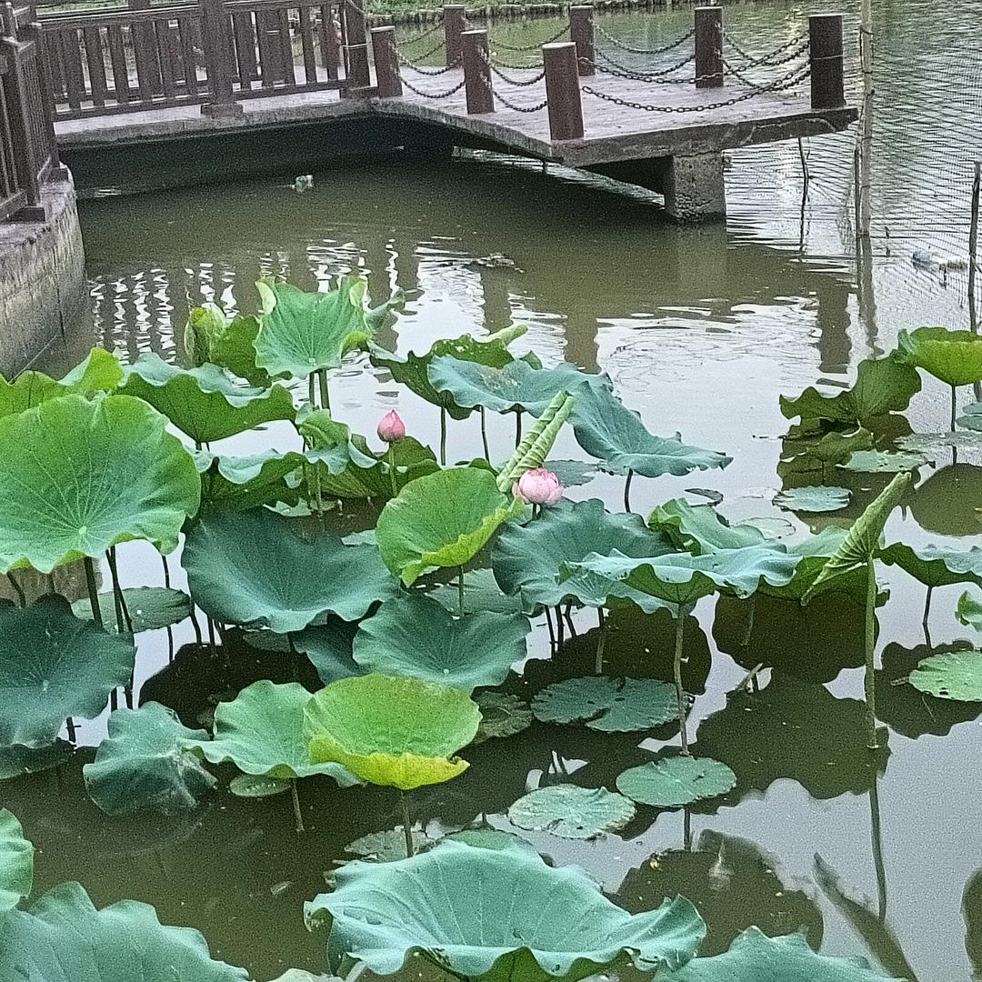 生
