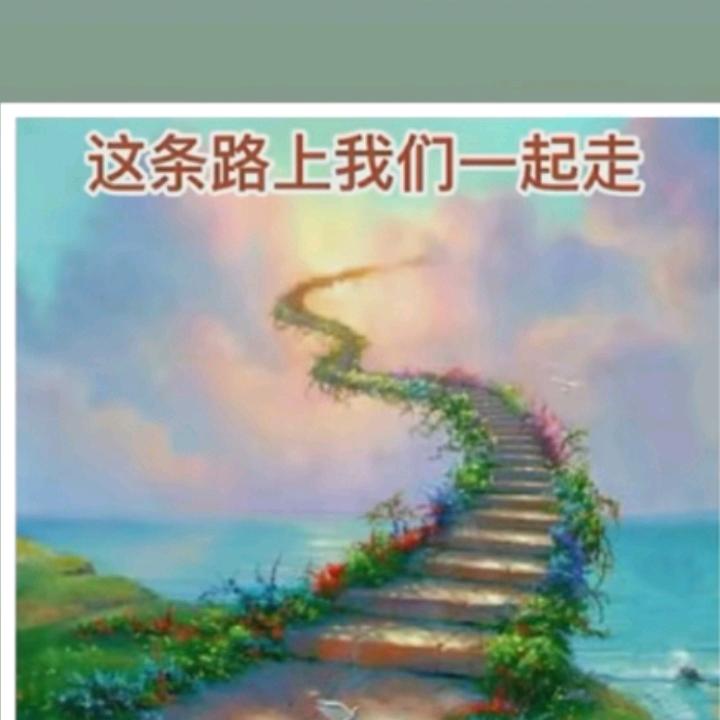 白鸽ξ( ✿＞◡❛)
