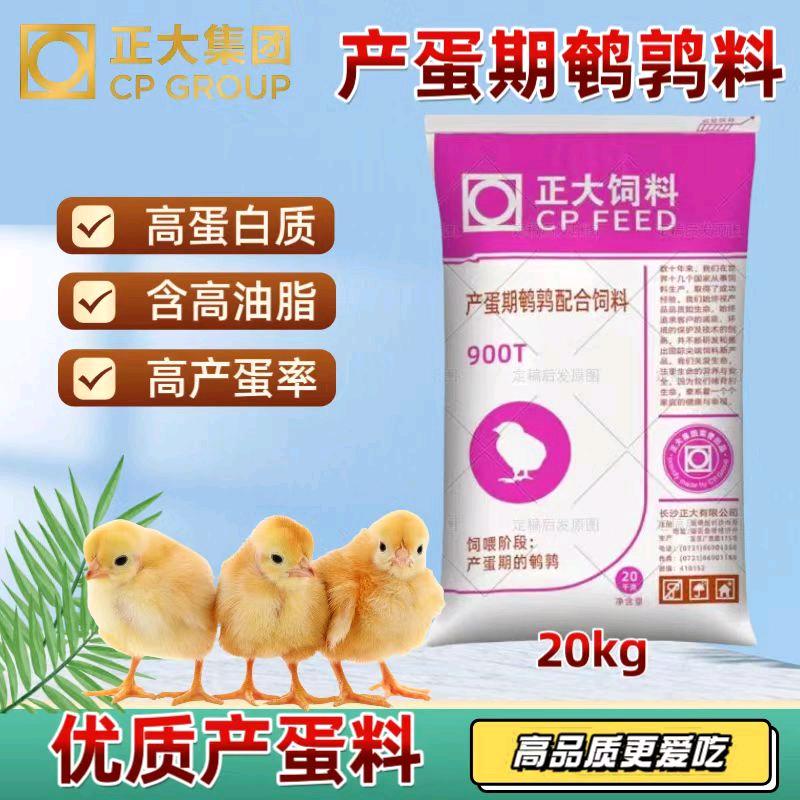 长沙正大仓技术