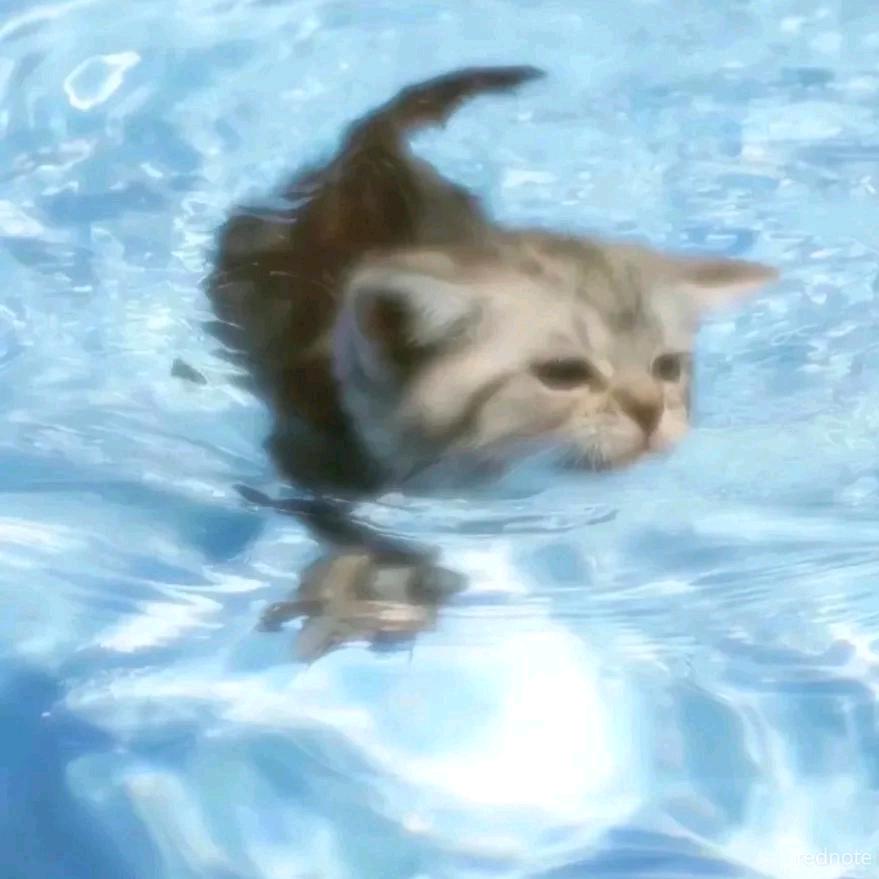 2714