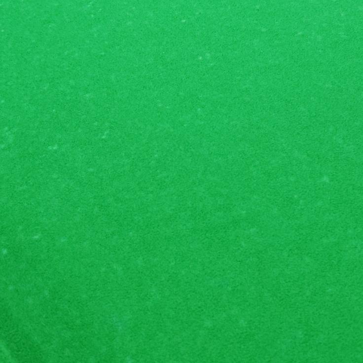 琴琴爱分享
