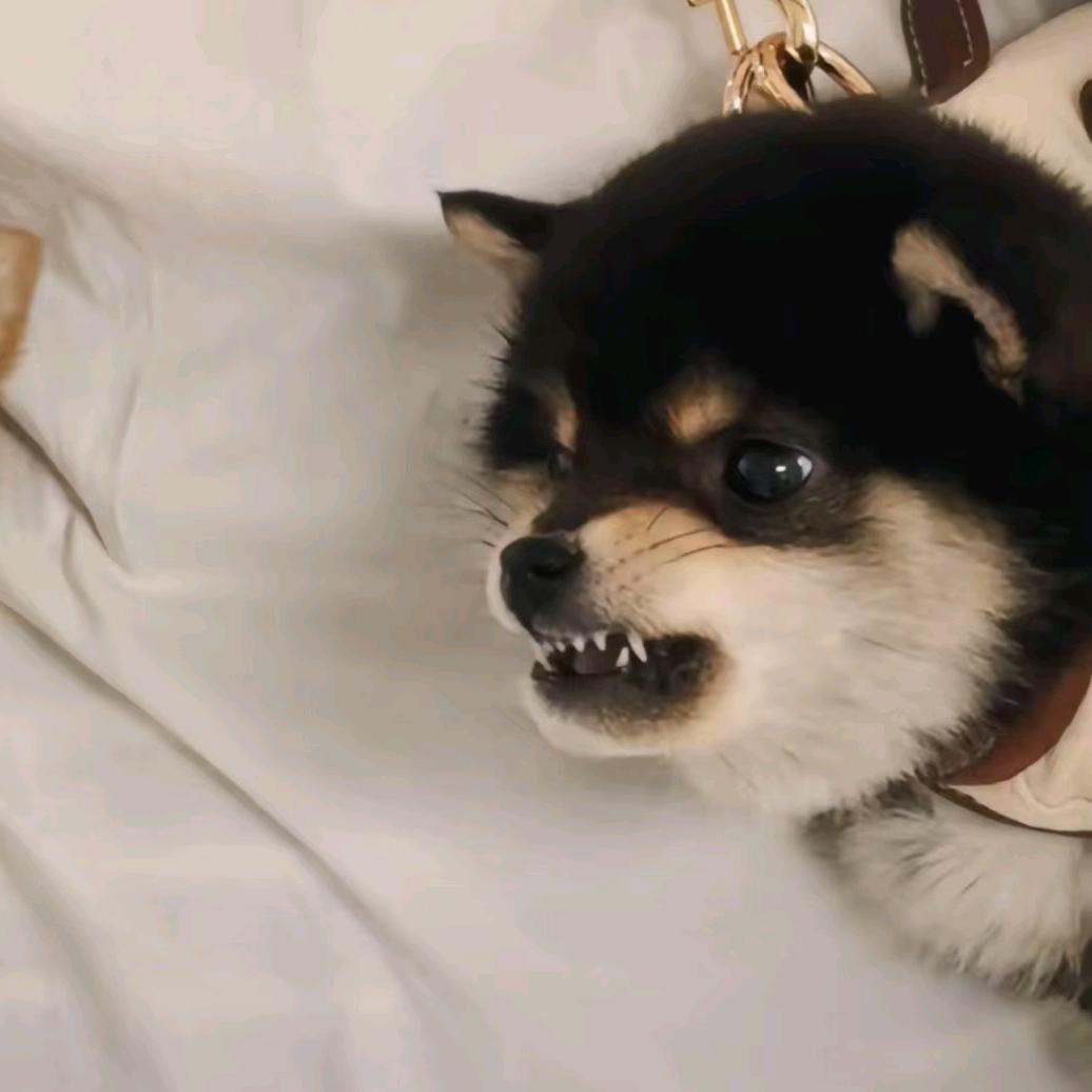 李李我