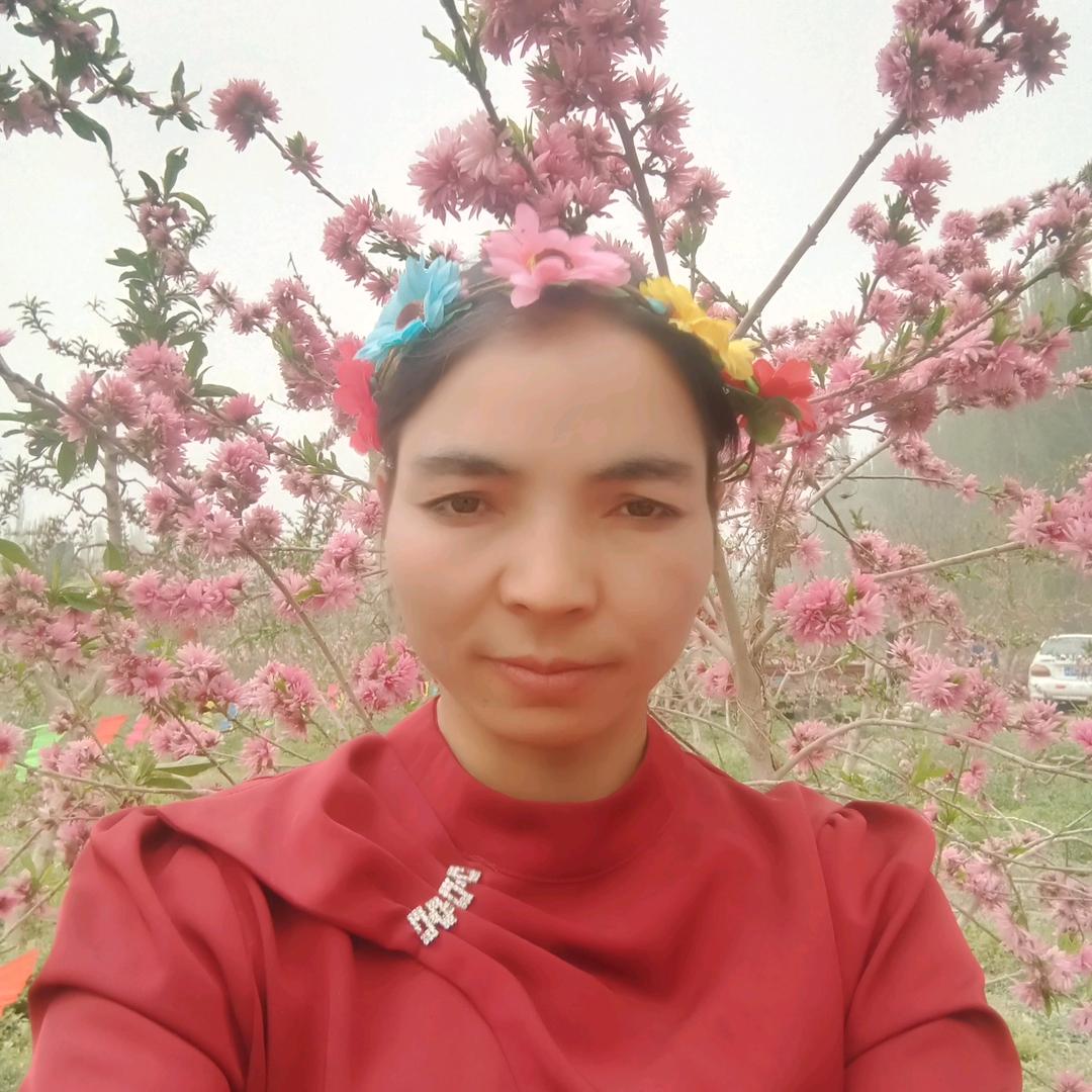 桃花🌸