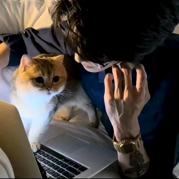 八方来财好运连连平安顺遂学业有成