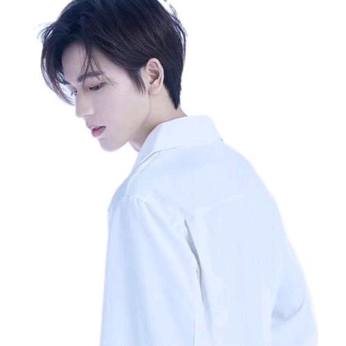 ✨Qy.楚子航