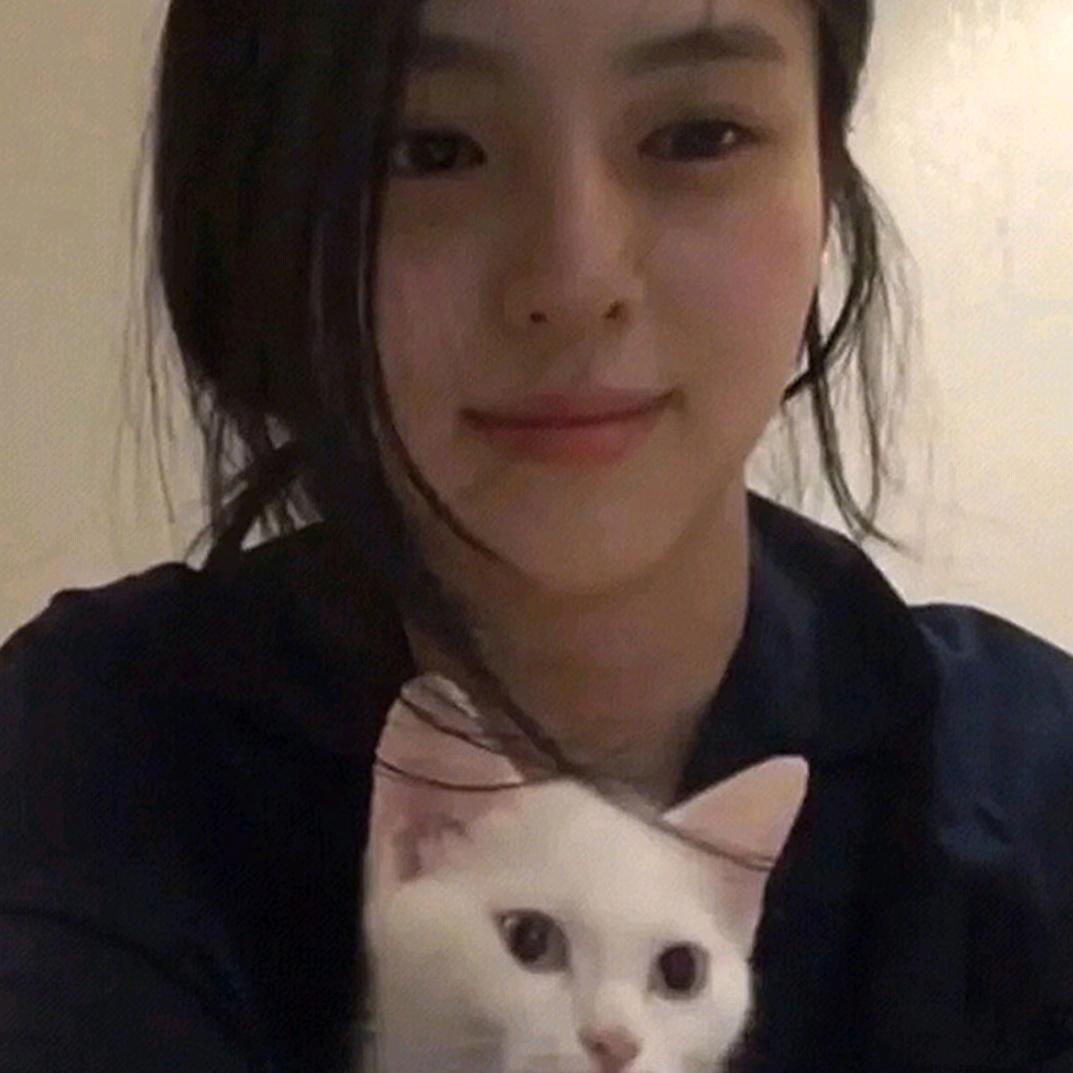 一戴小饼干