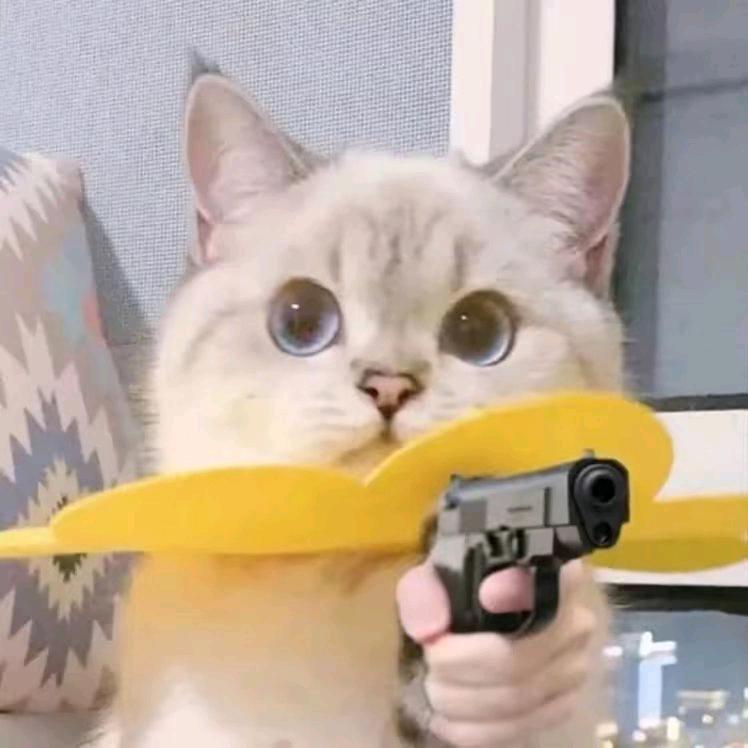 Hello？酷狗✔头像