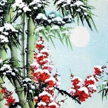 周至戏友踏雪寻梅