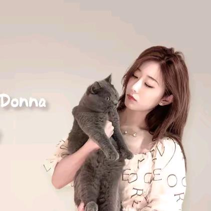 Donna 多娜（品质女装）