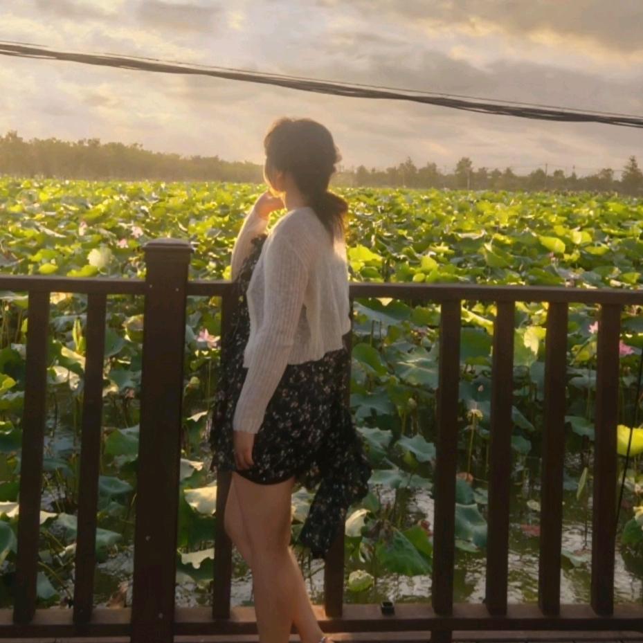 怎会散我意难平