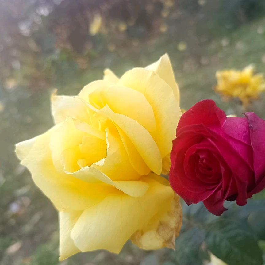 一起努力，一起奋斗，加油