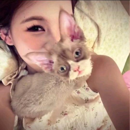 泪痣.