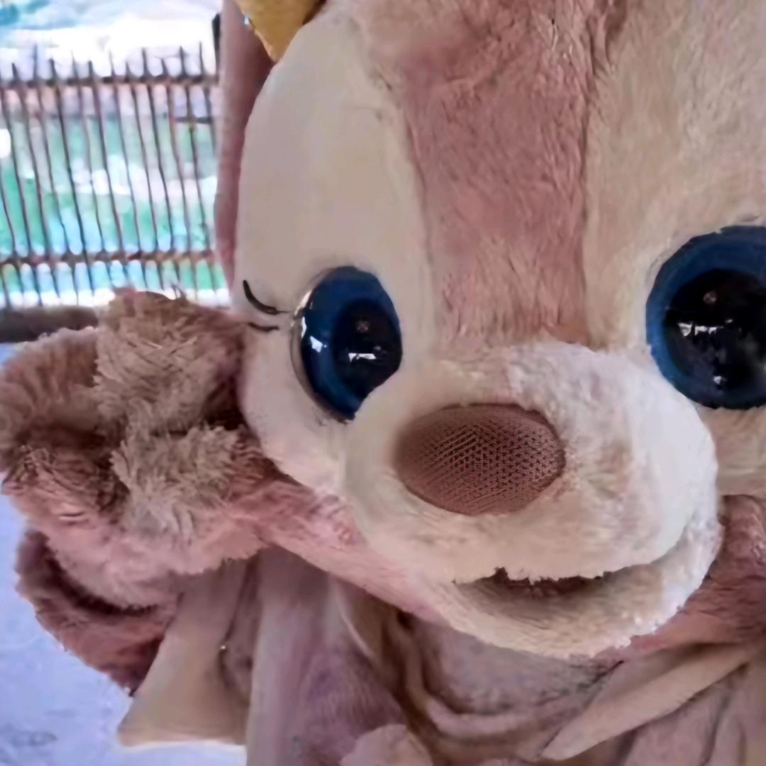 六亿少女（见过鱼粮版