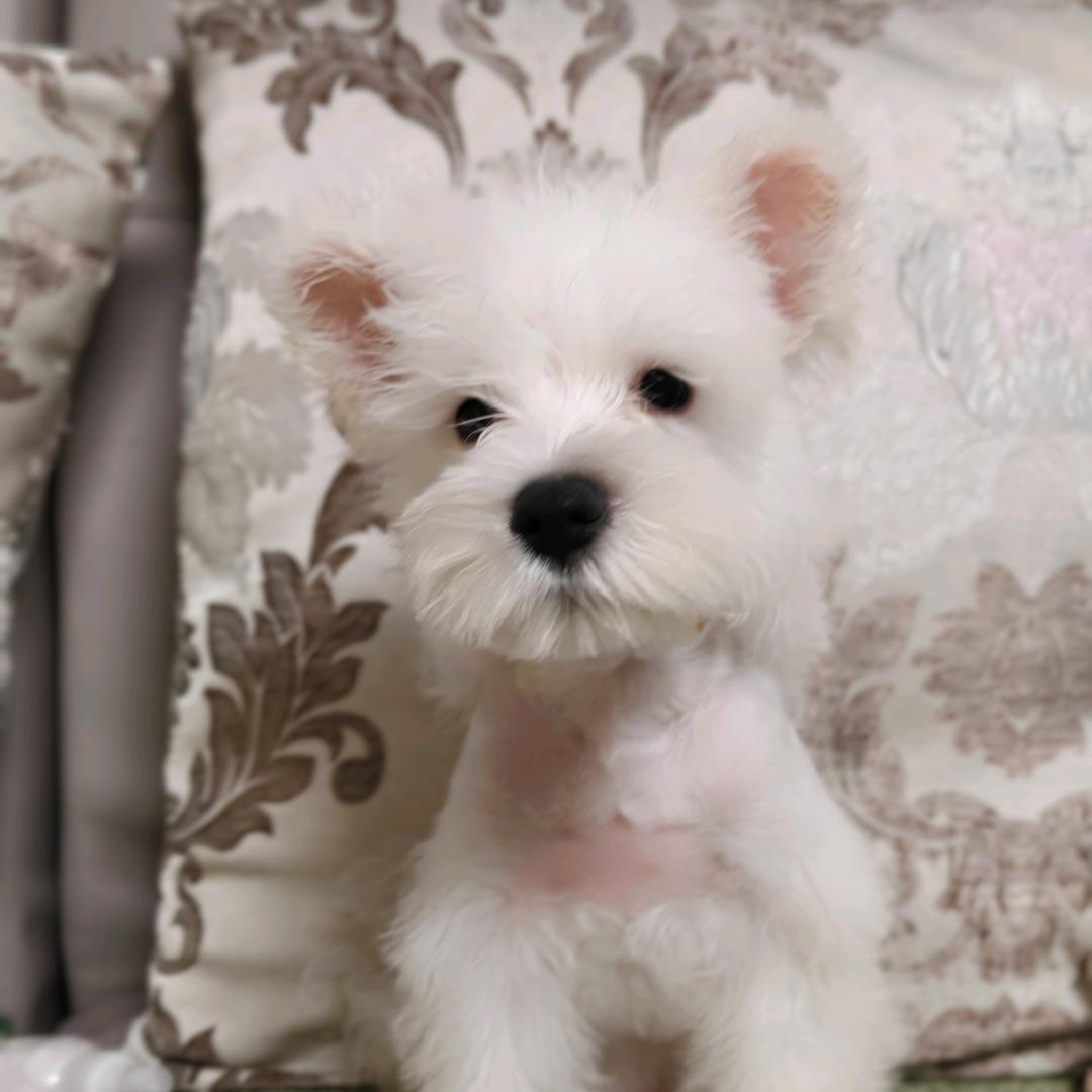 曲阜市多米童品店（闭店清仓）