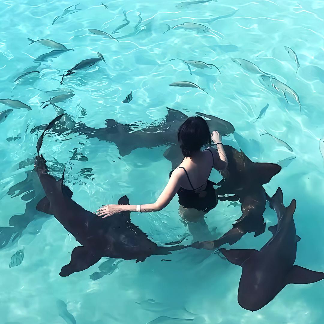 ʚTiAMoɞ.🦈 .