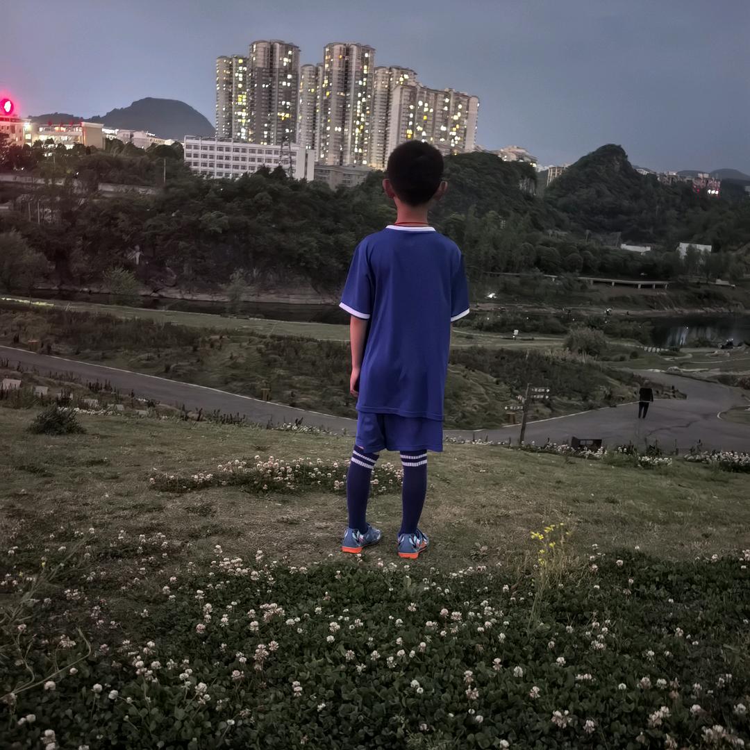 迷雾森林