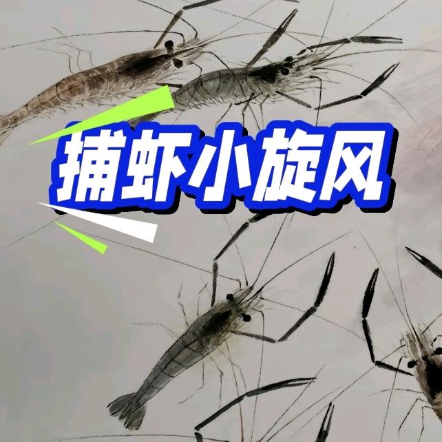 捕虾小旋风