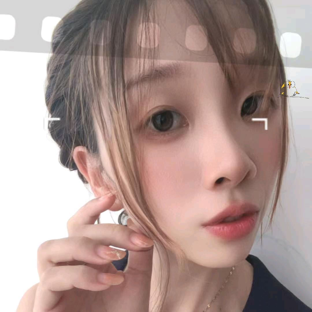 真贝优选