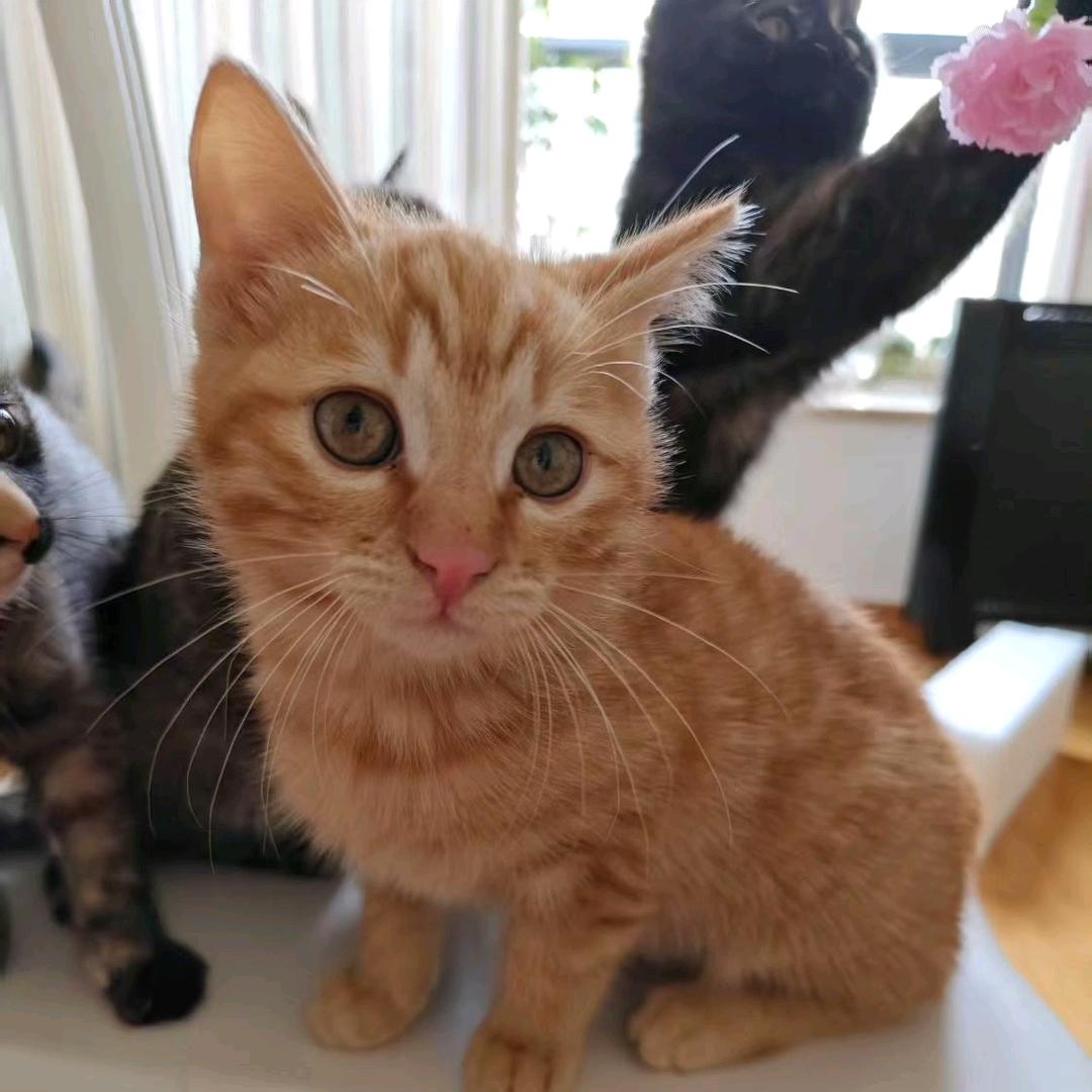 一战到底一起来战斗