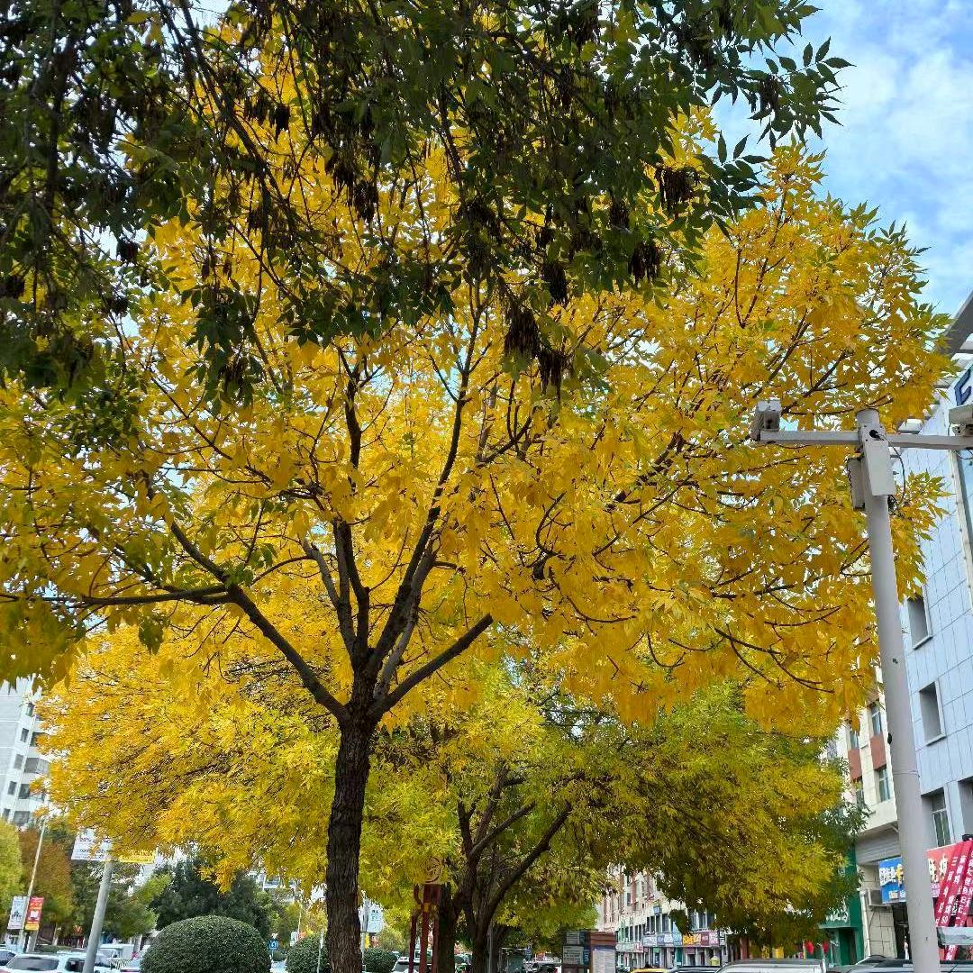 大爱无极限，大业有方圆