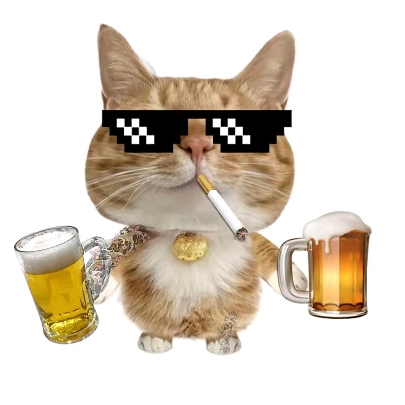 给生活，比个叶✌️✌️