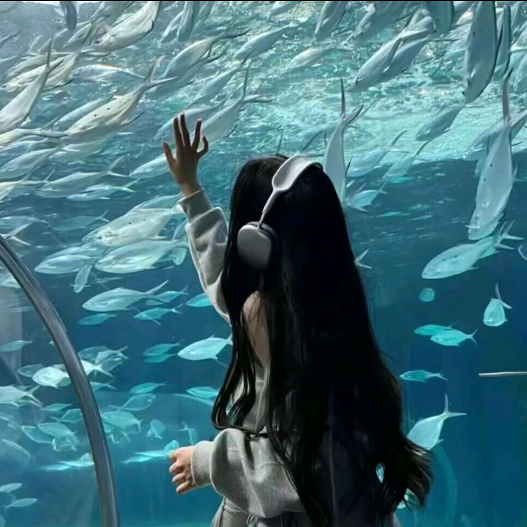 下一次看海在那里^