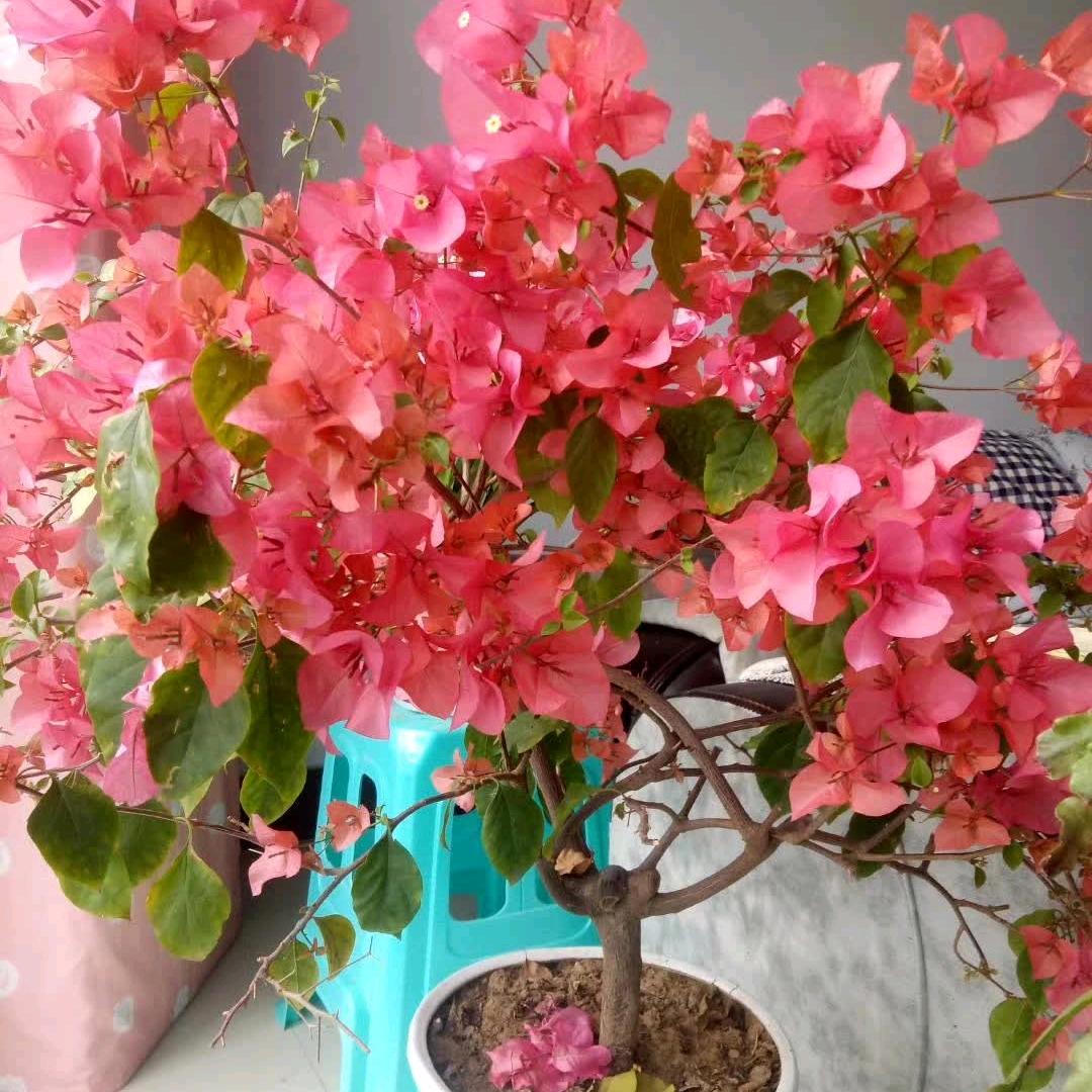 在水一方