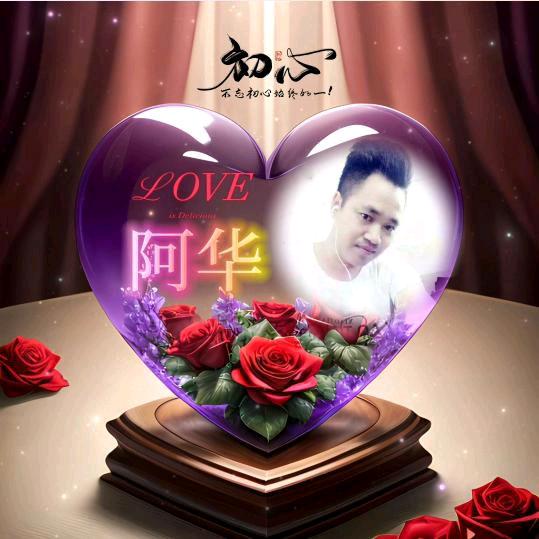 阿华《翱翔鸽舍》