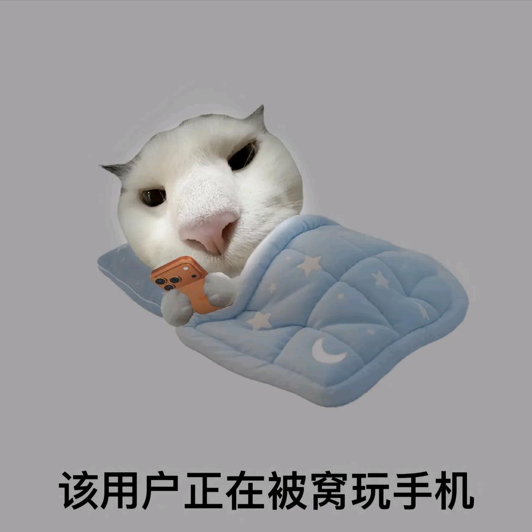 英雄冒险团-伪熹（久明青阳）