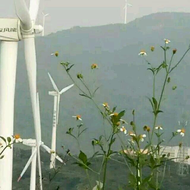 心若不动，万事从容