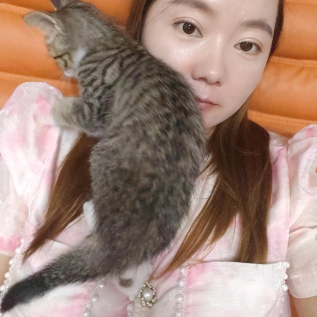 丁怡婷的猫咪