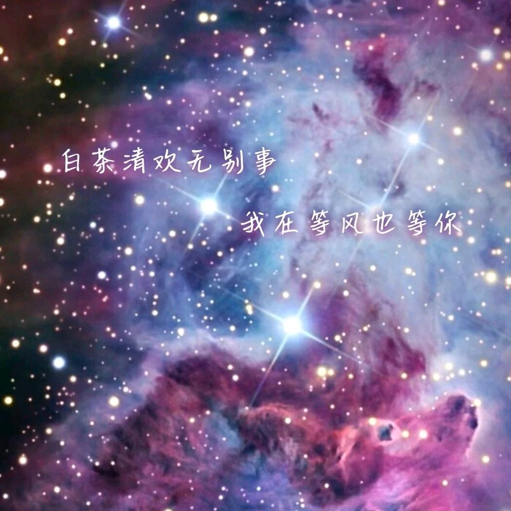 谢文东