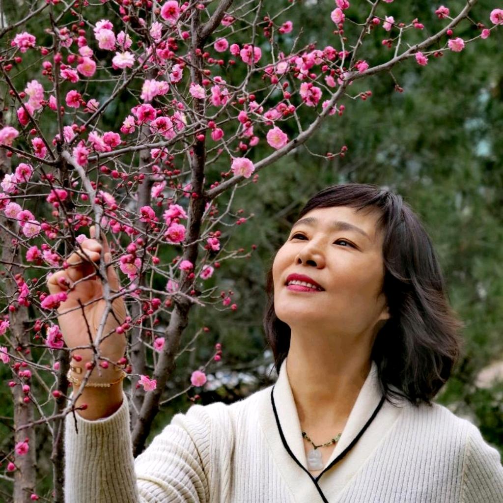 何处梅花一绽香